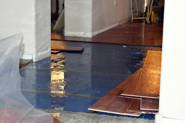 Professional Water Damage Restoration technician working in Bellmore, NY